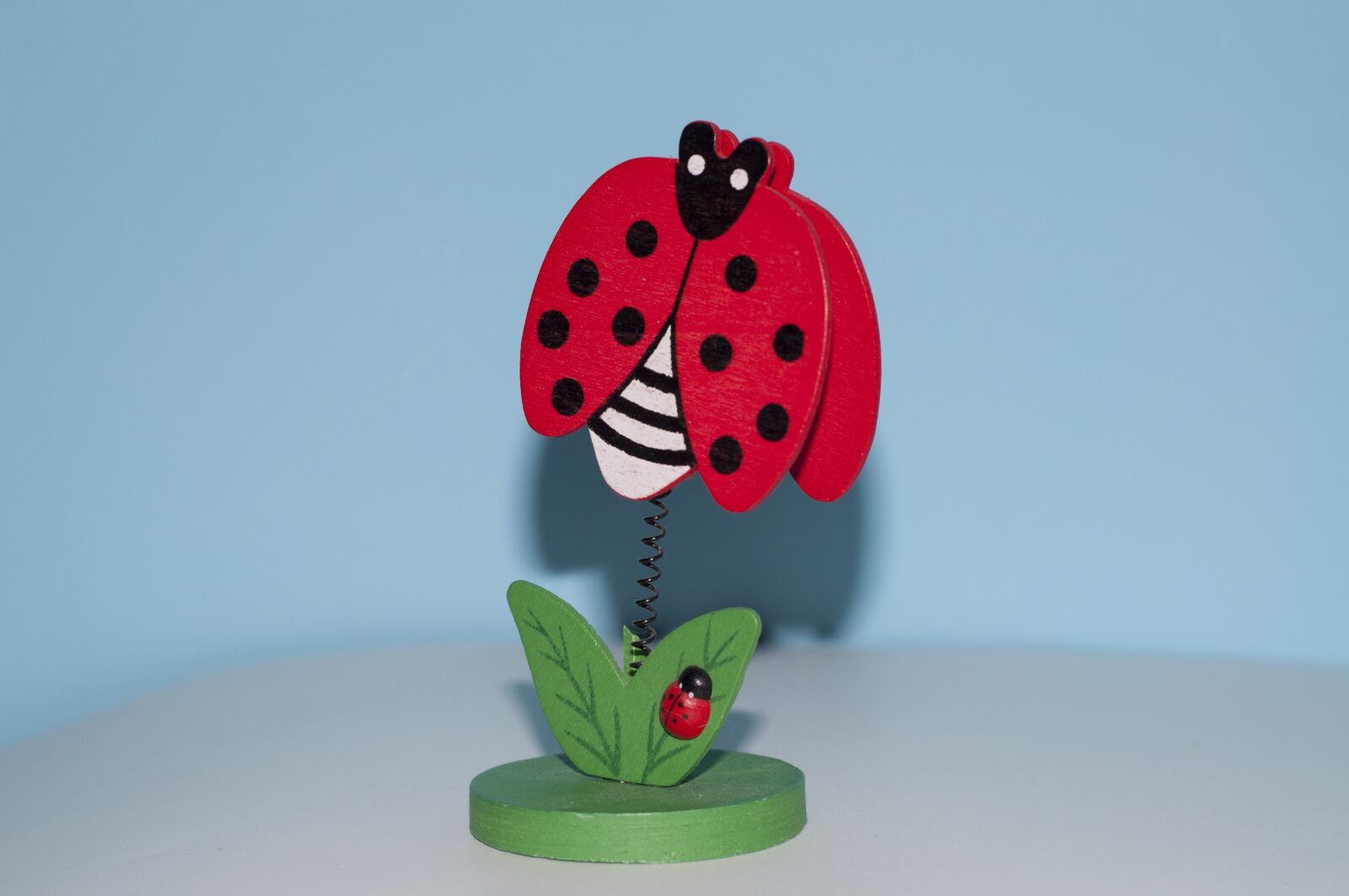 Nikon D90 sample photo. Ladybug, frame, lucky charm photography