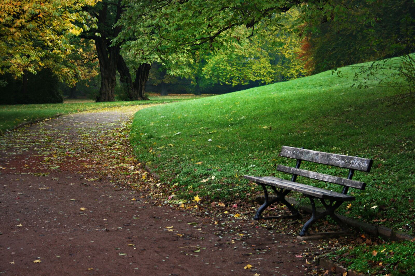 Canon EOS 400D (EOS Digital Rebel XTi / EOS Kiss Digital X) sample photo. Autumn, rest, park photography