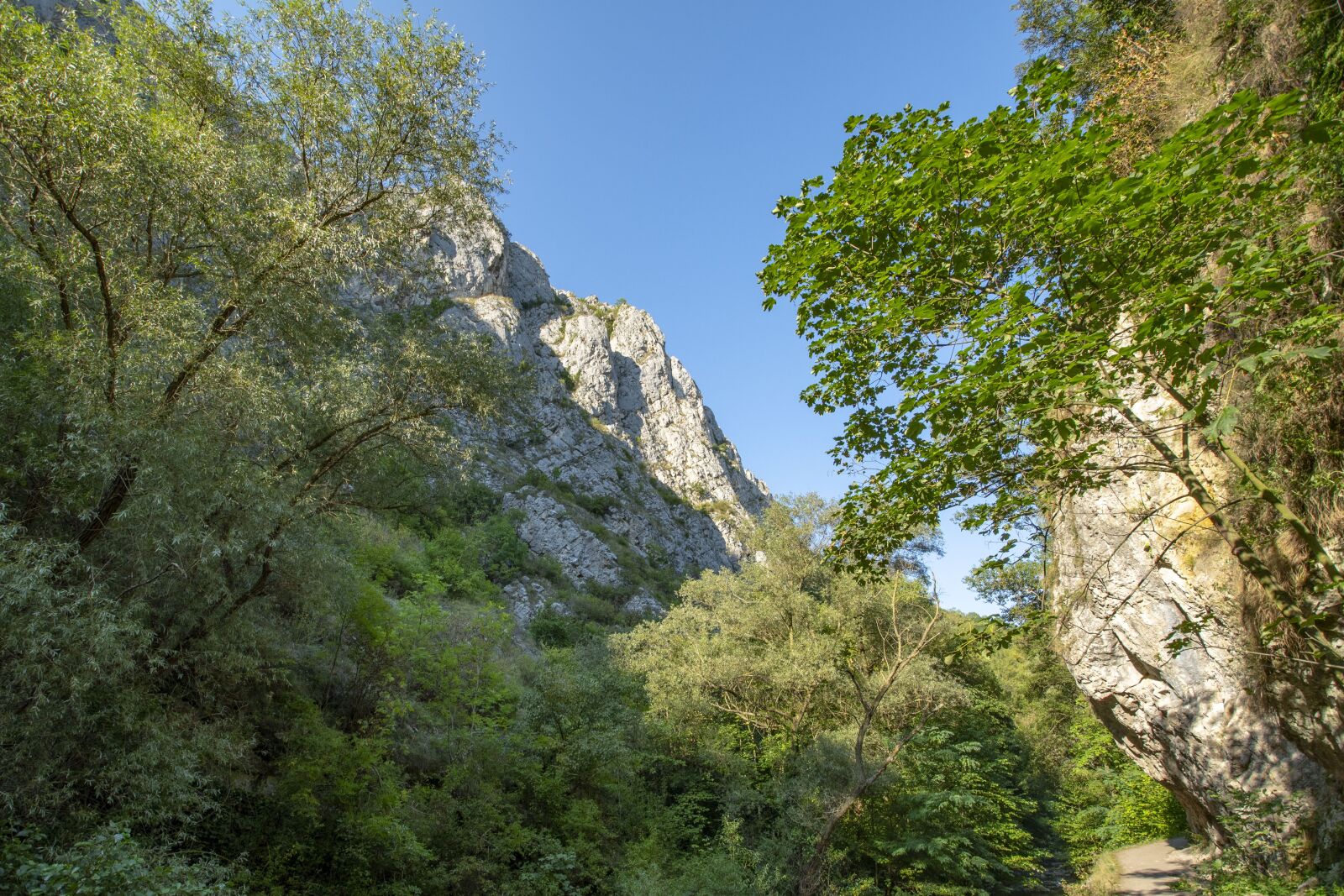 Nikon D500 sample photo. Rumania, transylvania, turda to photography