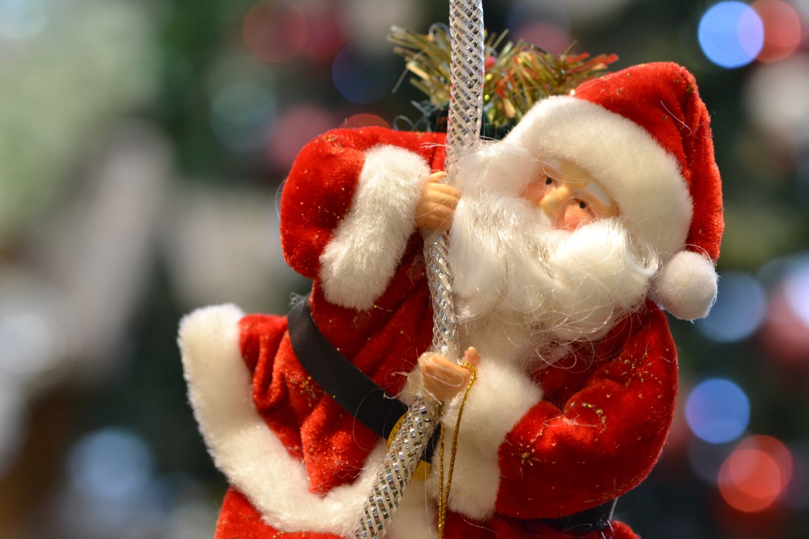 Nikon D3100 sample photo. Santa, new year, christmas photography