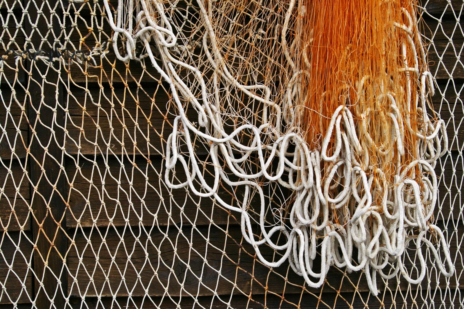 Pentax *ist DL2 sample photo. Fishing net, fishing, web photography
