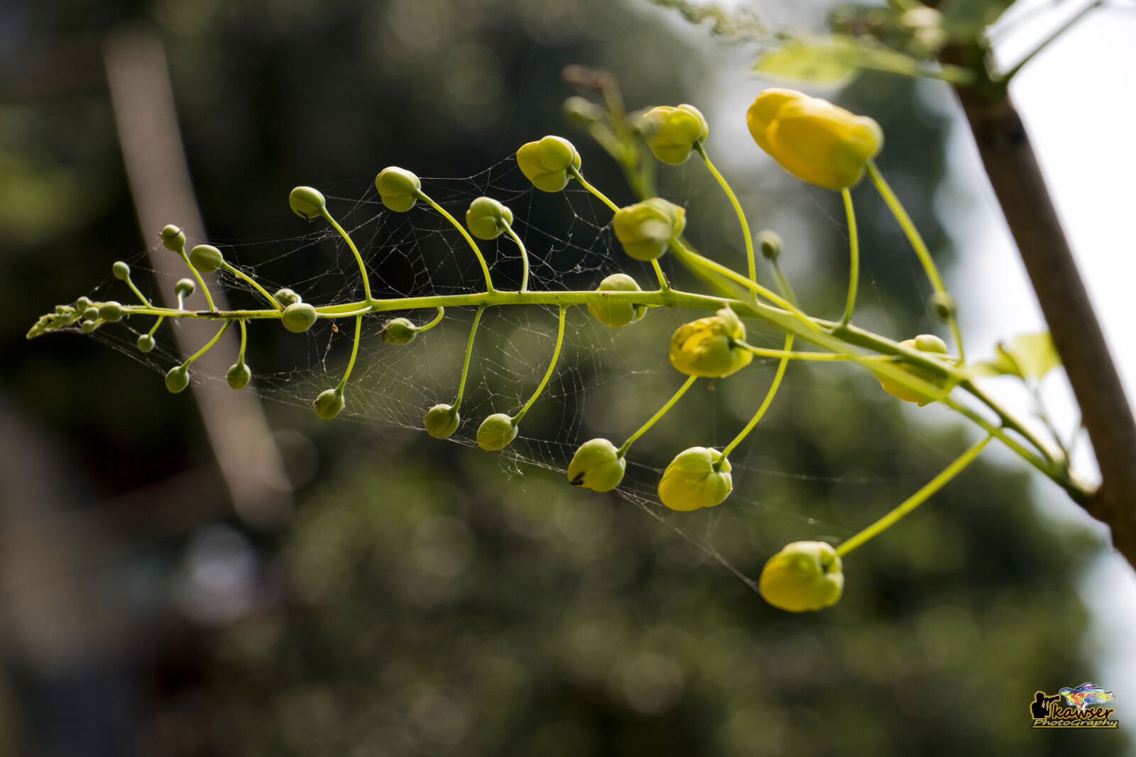 Canon EOS 70D sample photo
