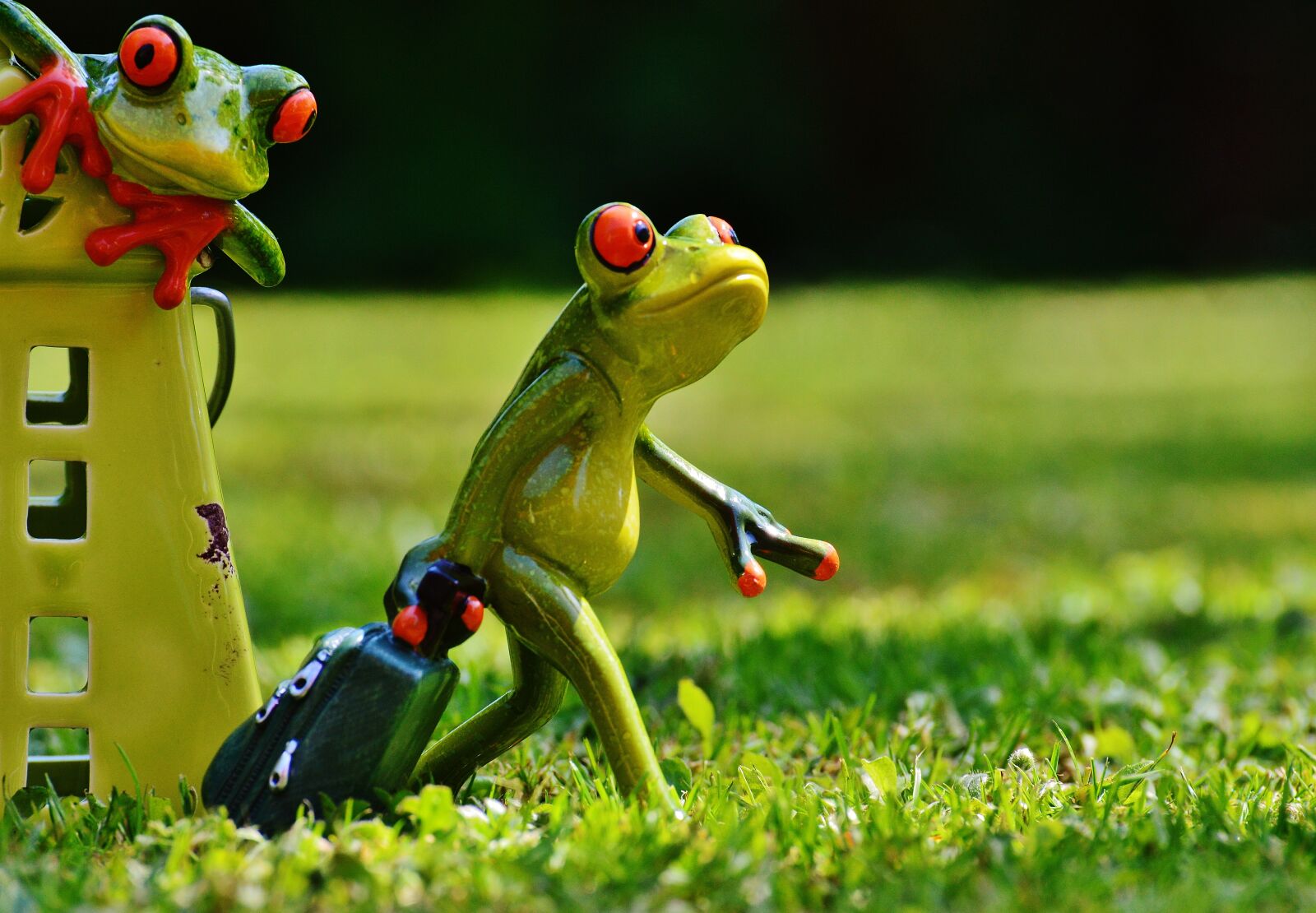 Nikon D3200 sample photo. Frogs, farewell, house photography