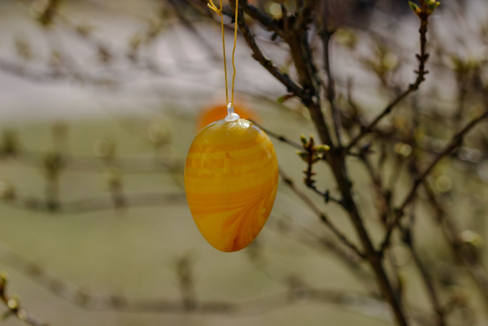 Canon EOS 600D (Rebel EOS T3i / EOS Kiss X5) sample photo. Easter egg, easter, bush photography
