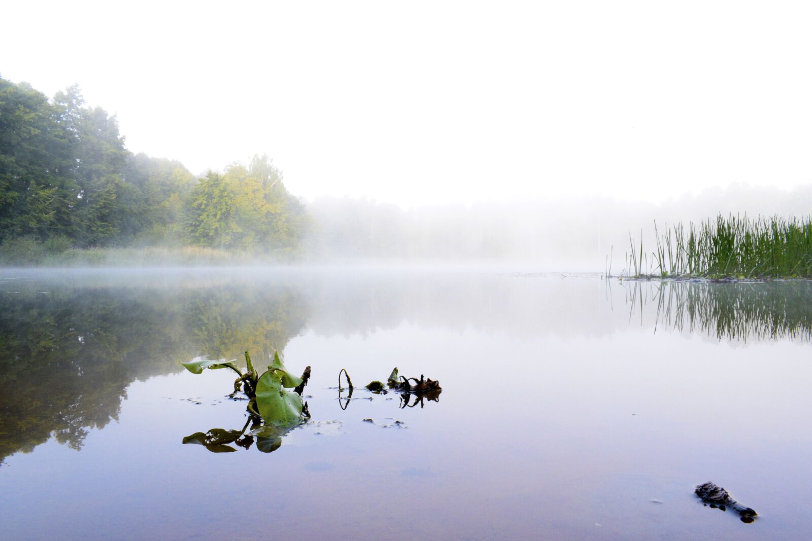 Nikon D5300 sample photo. Landscape, lake, water photography