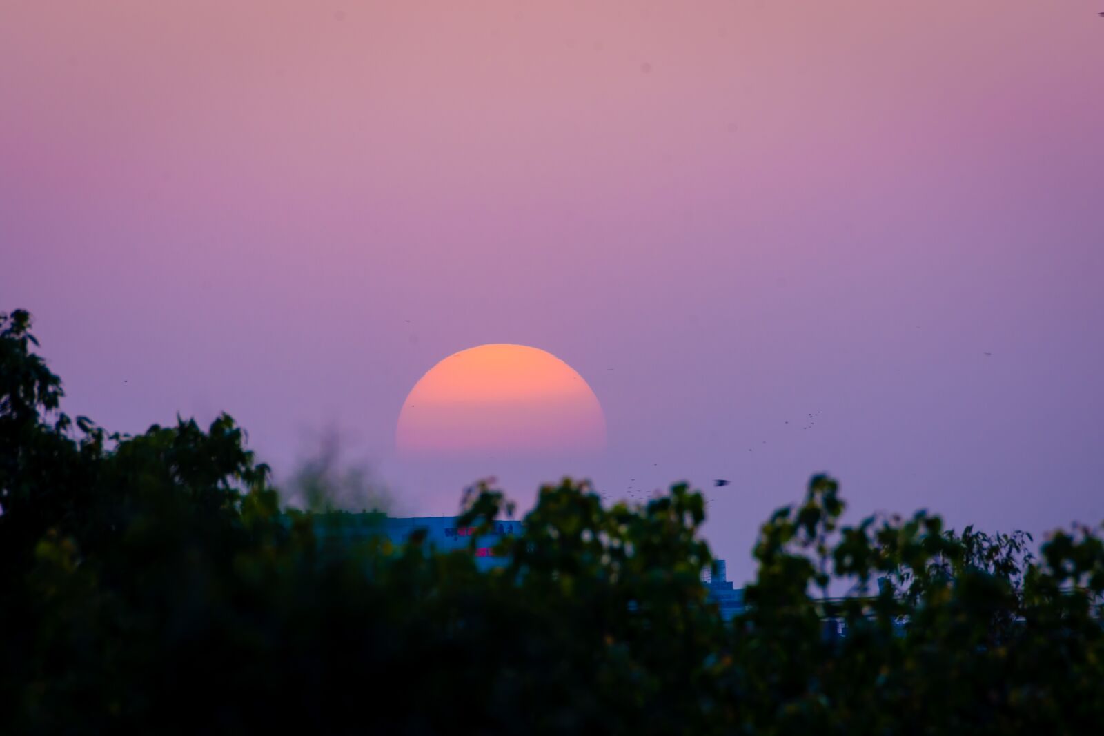 Nikon D7200 sample photo. Sunset, dawn, sky photography