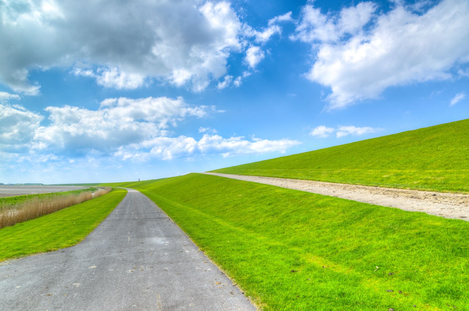 Nikon D610 sample photo. Dutch, dike, green photography
