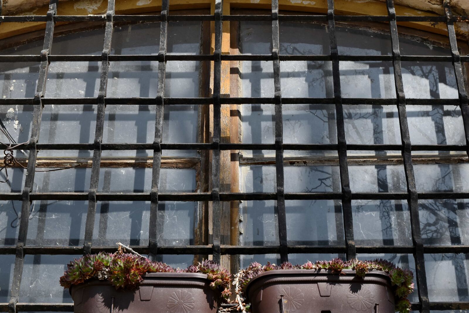 Nikon D5500 sample photo. Building, architecture, window, urban photography