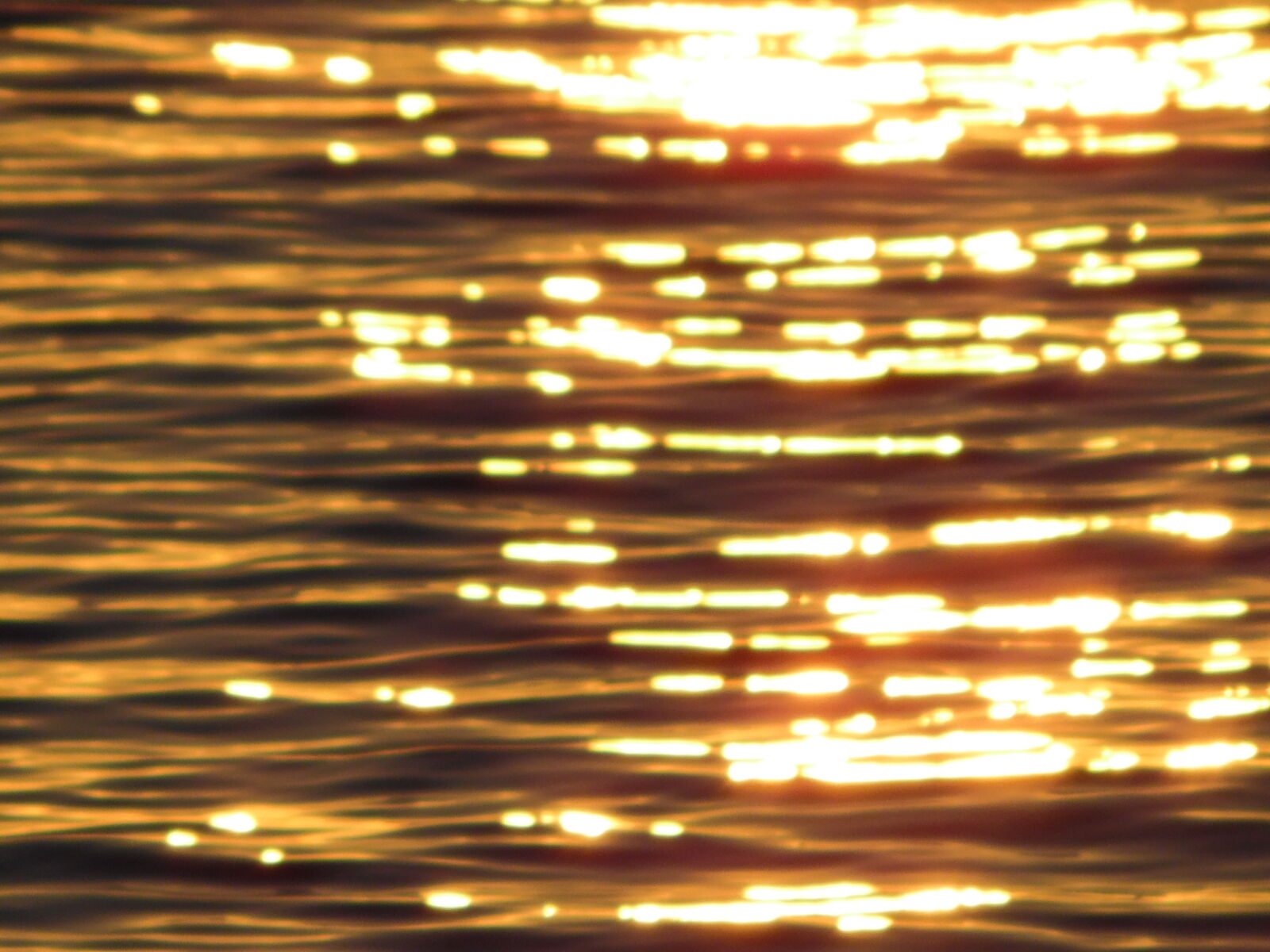 Samsung WB1100F/WB1101F/WB1102F sample photo