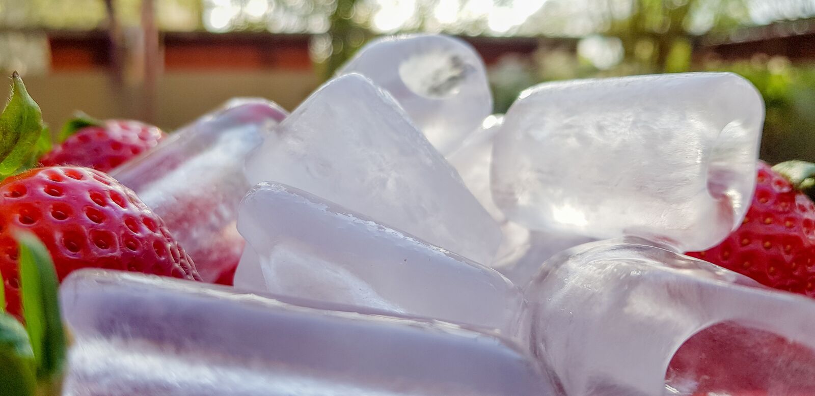 Samsung Galaxy S8+ Rear Camera sample photo. Ice cubes, refreshment, strawberries photography