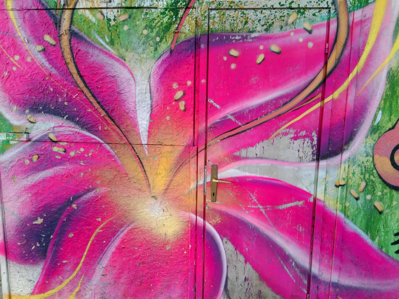 Lenovo S60-A sample photo. Graffiti, door, colorful, nature photography