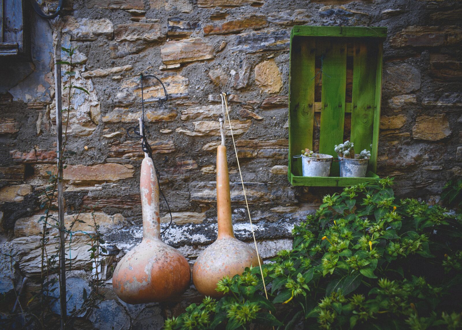 Nikon D3300 sample photo. Water pumpkins, wall, decoration photography