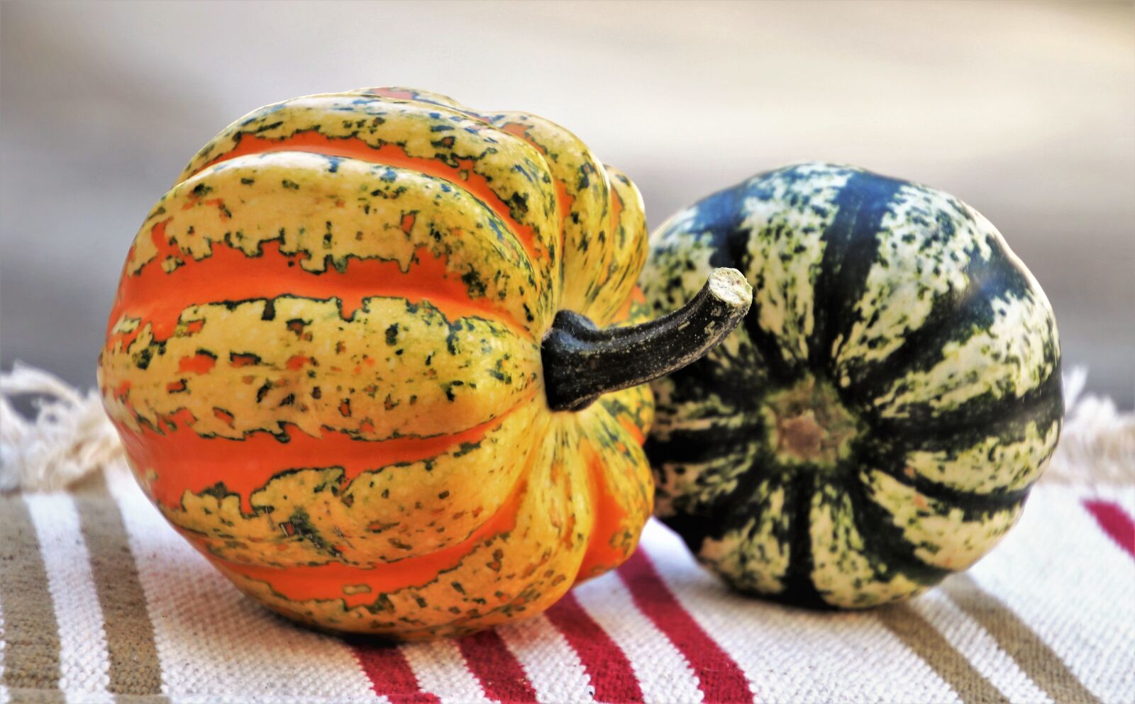 Canon EOS 80D sample photo. Pumpkins, autumn, halloween photography