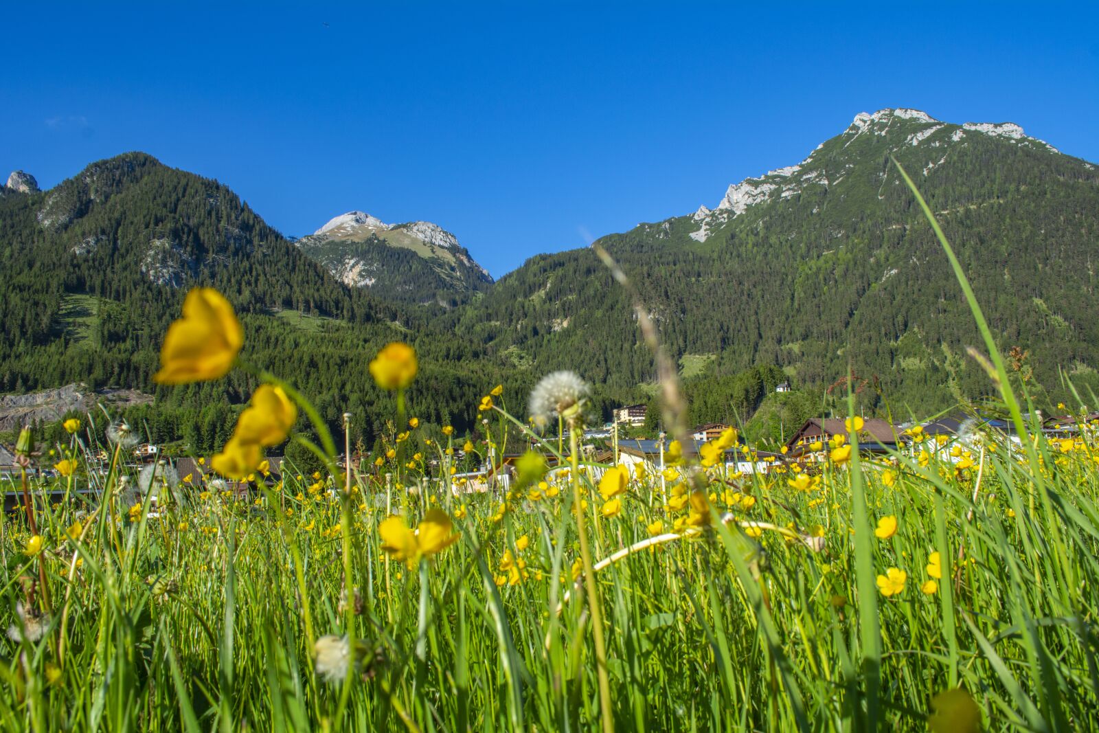 Nikon D5200 sample photo. Achensee, austria, mountains photography