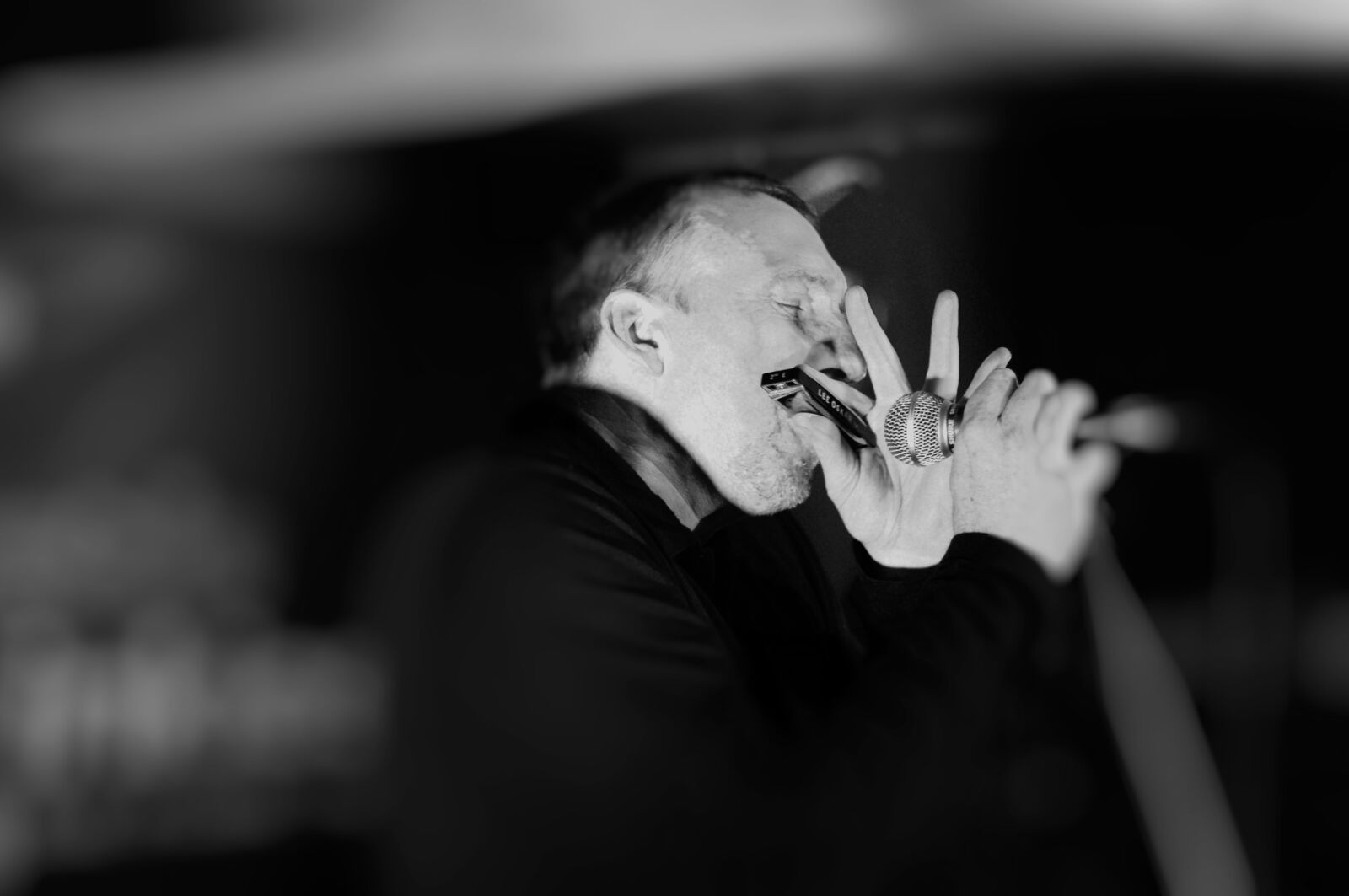 Nikon D300 sample photo. Blues, harp, harmonica photography