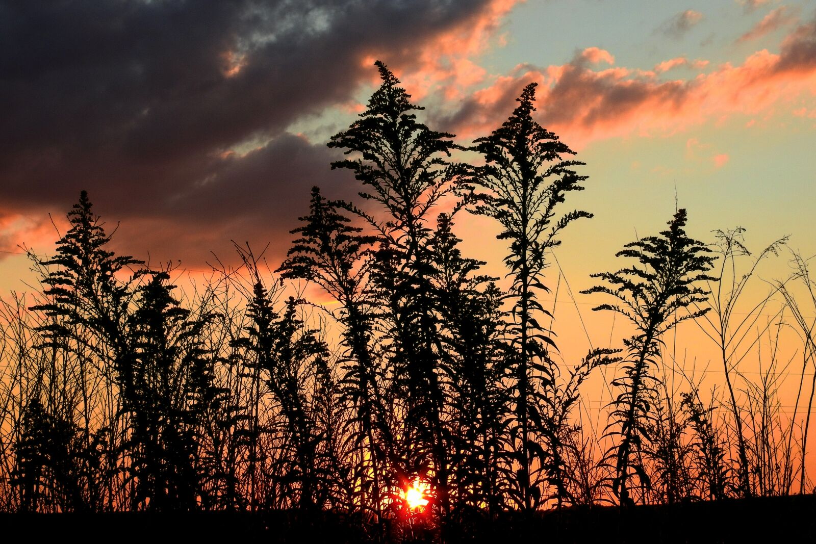 Nikon Coolpix P900 sample photo. Sunset, meadow, landscape photography