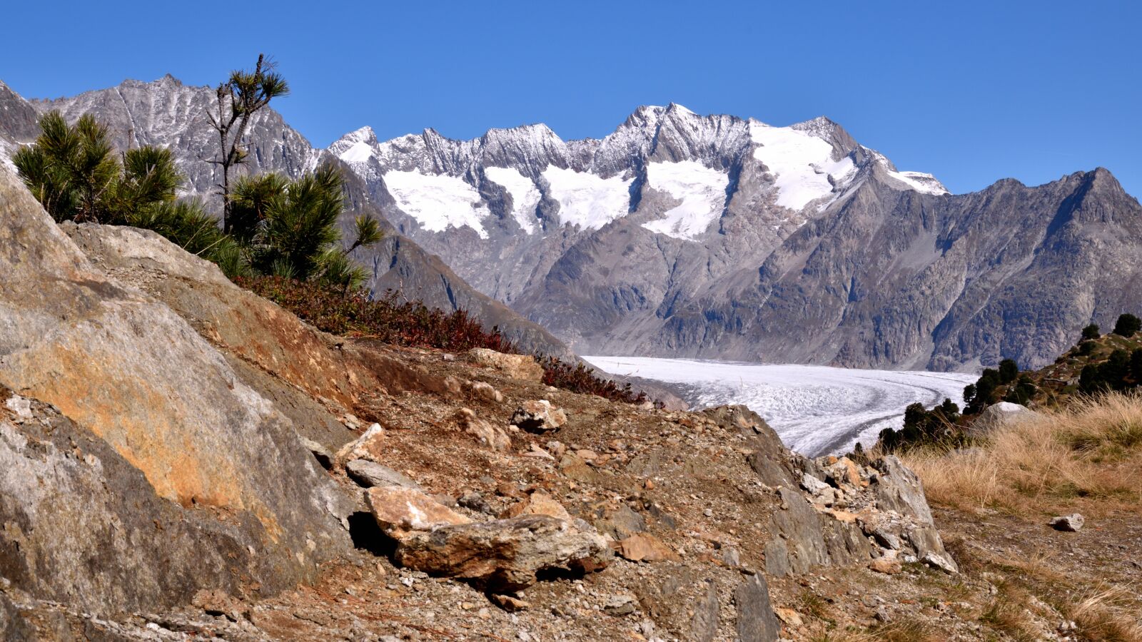 Nikon D5500 sample photo. Aletsch glacier, mountains, alpine photography
