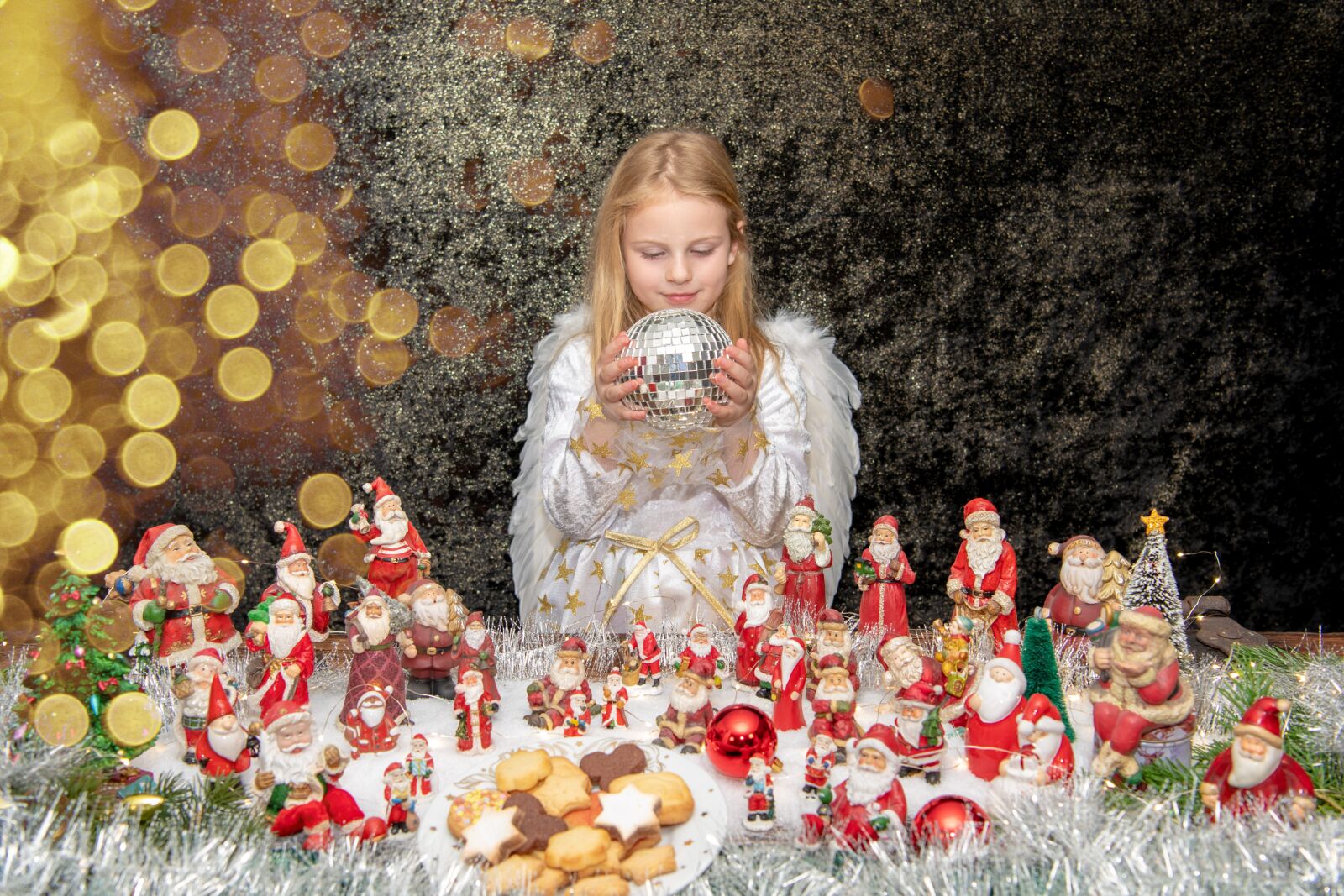 Nikon D850 sample photo. Christmas, nicholas, decoration photography