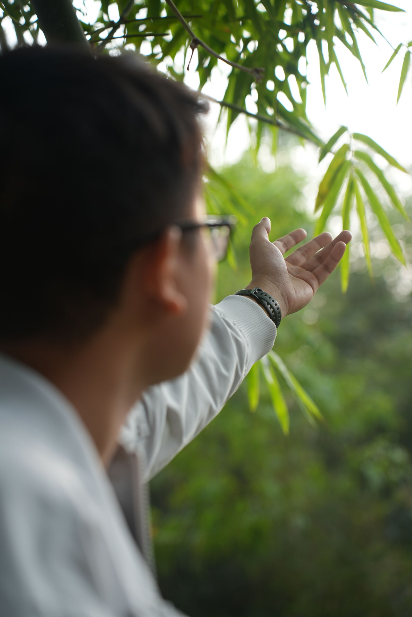 Sony a7S III sample photo