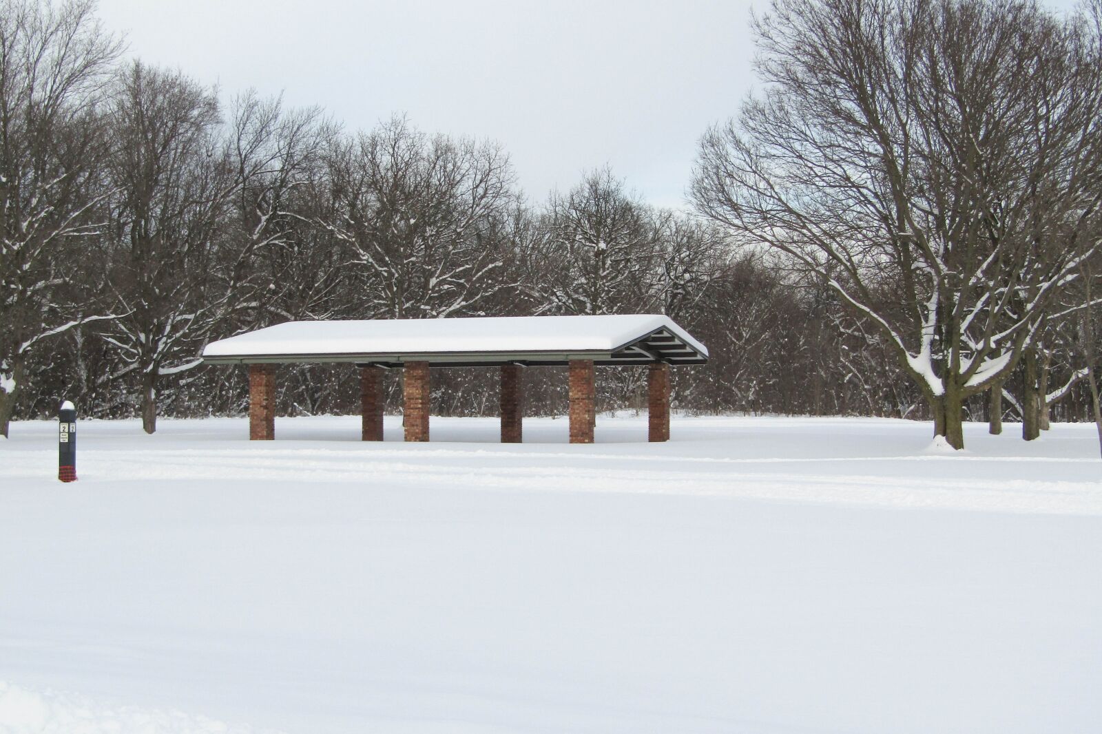 Canon PowerShot SX420 IS sample photo. Wood, winter, snow photography