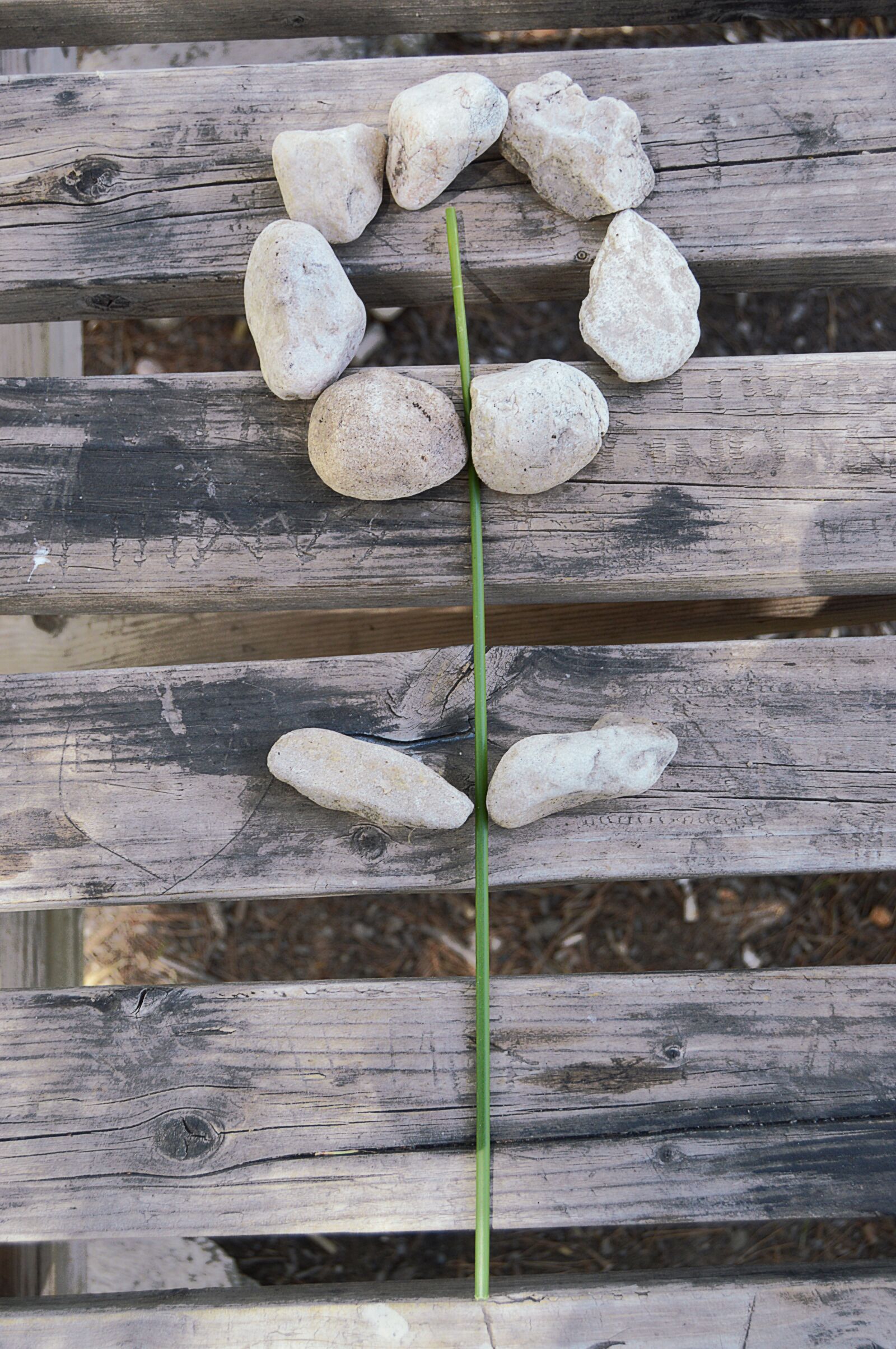 Nikon D3200 sample photo. Natural composition, rustic, stones photography