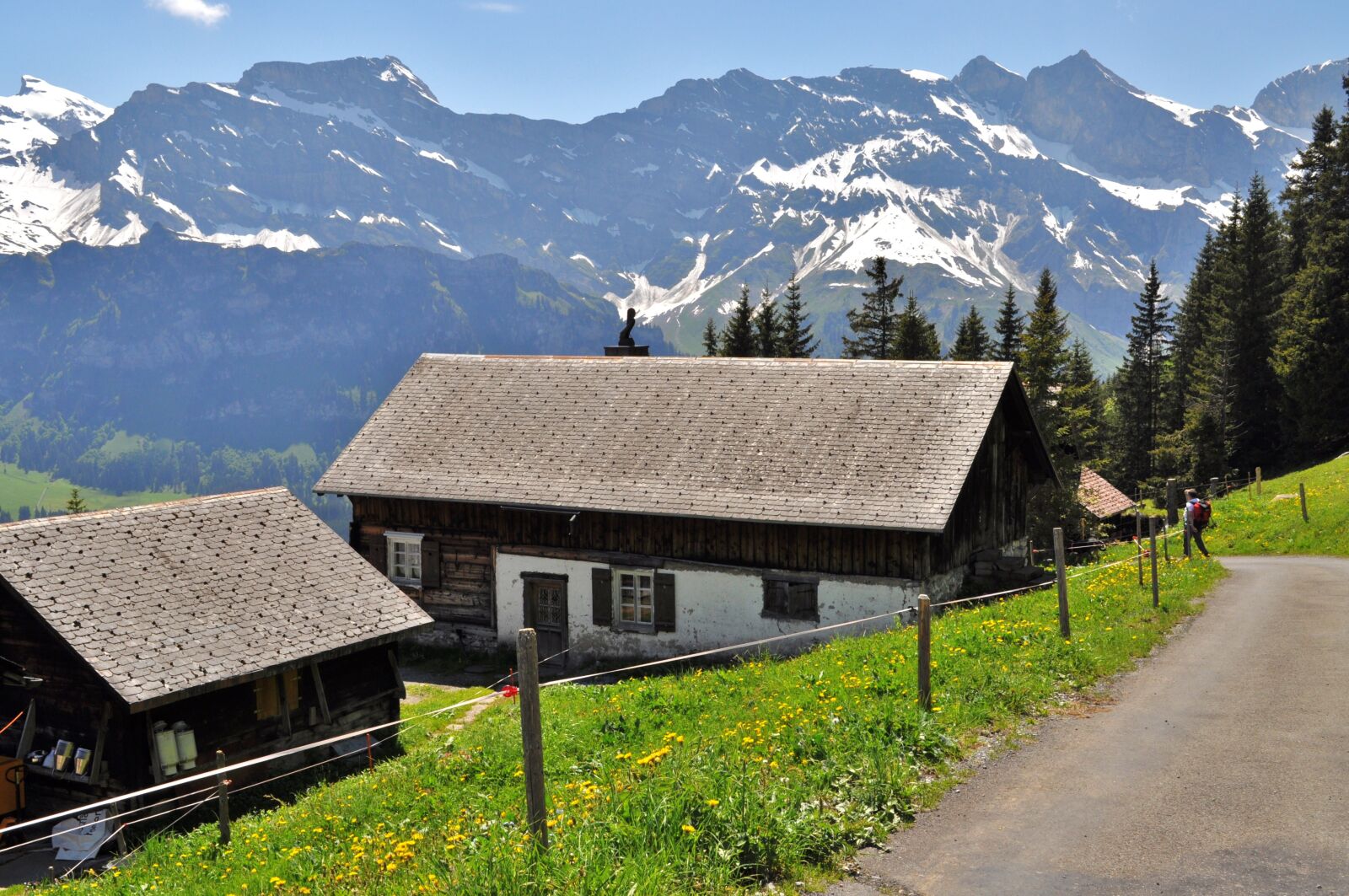 Nikon D5000 sample photo. Alp, switzerland, hut photography