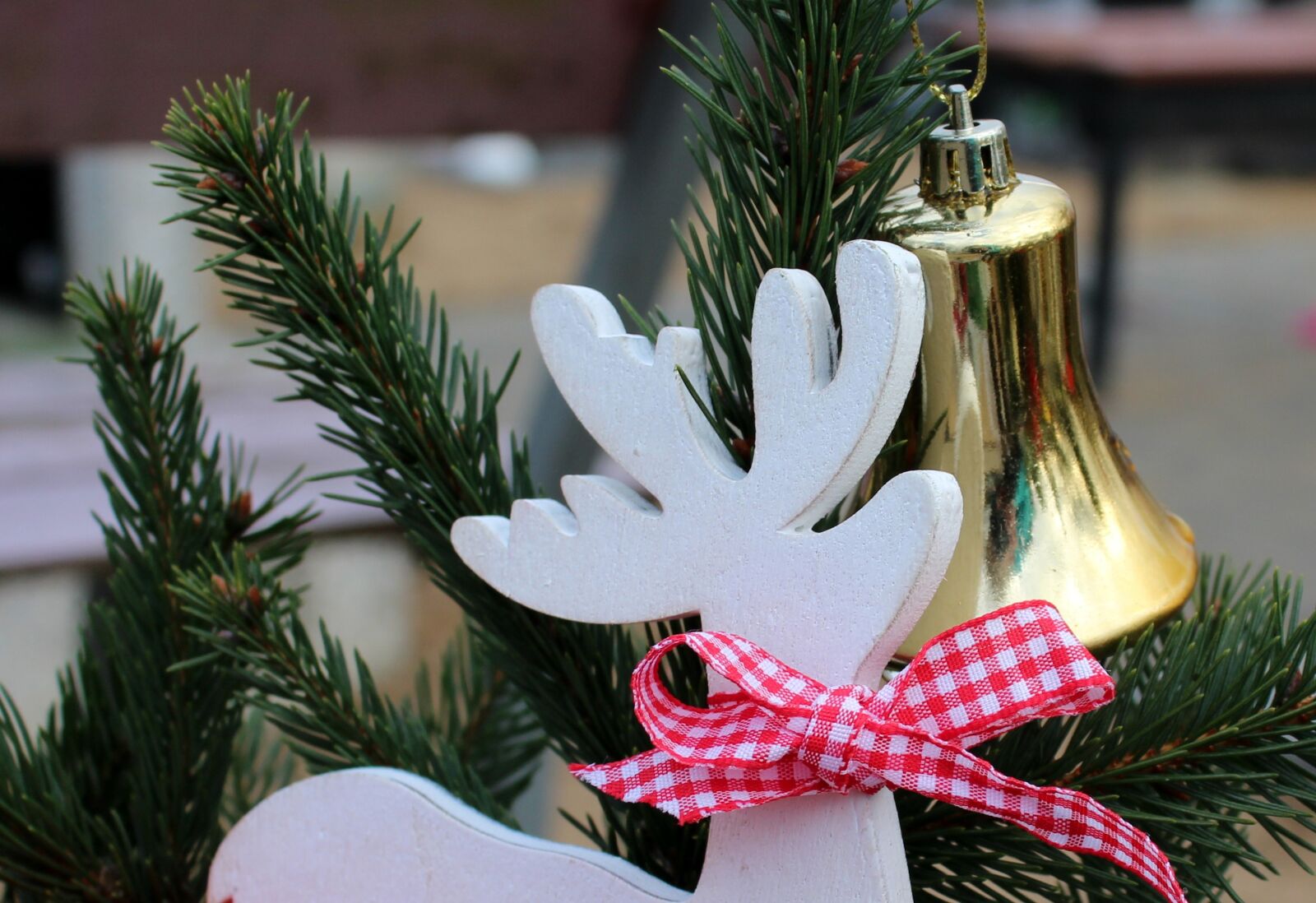 Canon EOS 1200D (EOS Rebel T5 / EOS Kiss X70 / EOS Hi) sample photo. Reed, decoration, christmas photography