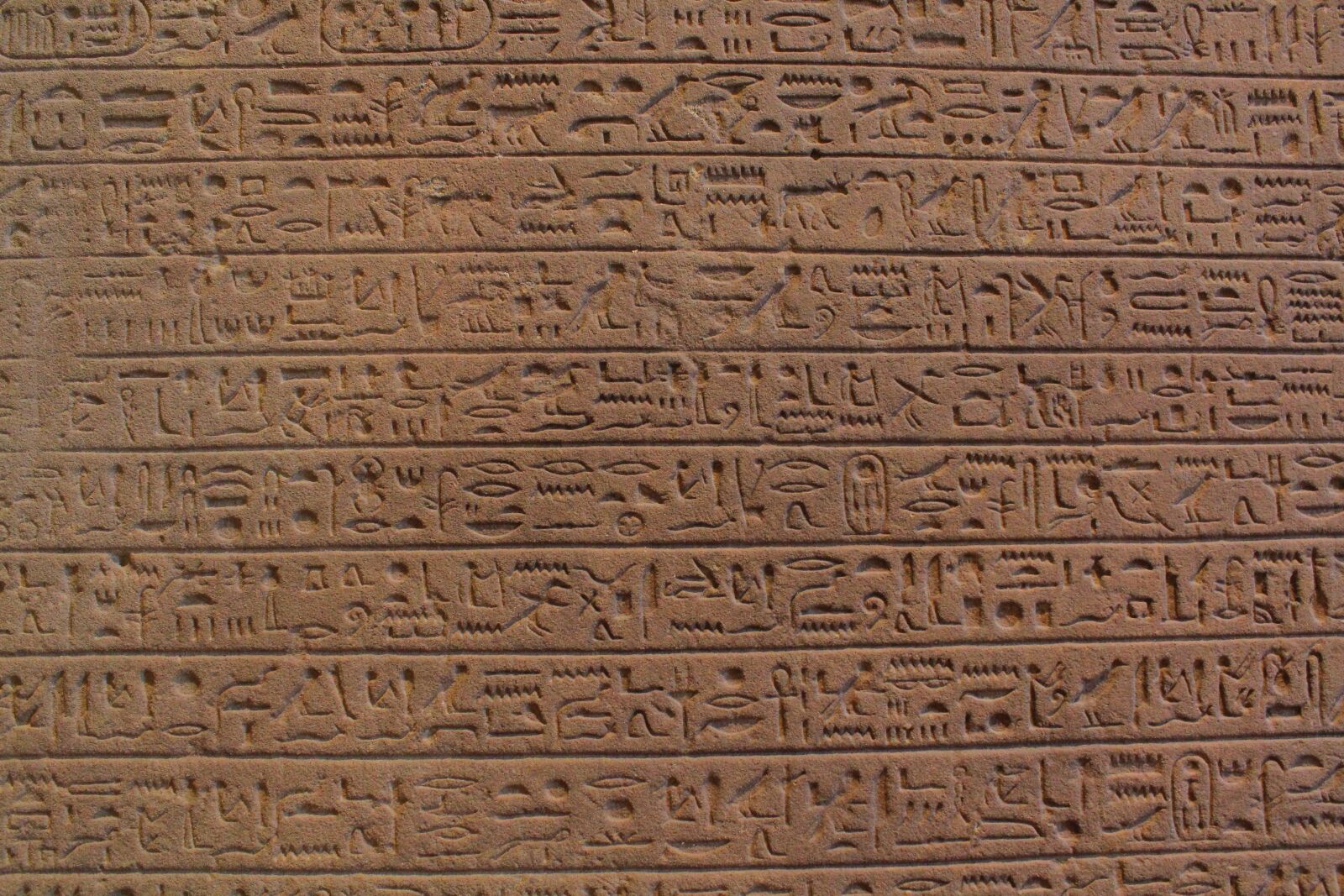 Canon EOS 600D (Rebel EOS T3i / EOS Kiss X5) sample photo. Text, egypt, pyramid photography