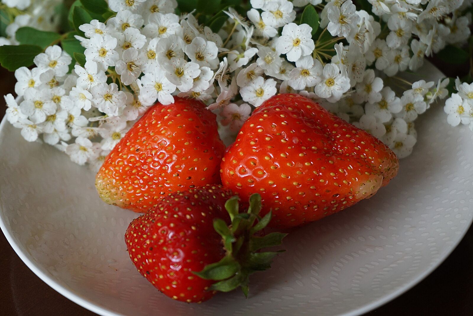 Sony a6000 sample photo. Strawberry ripe, red, white photography