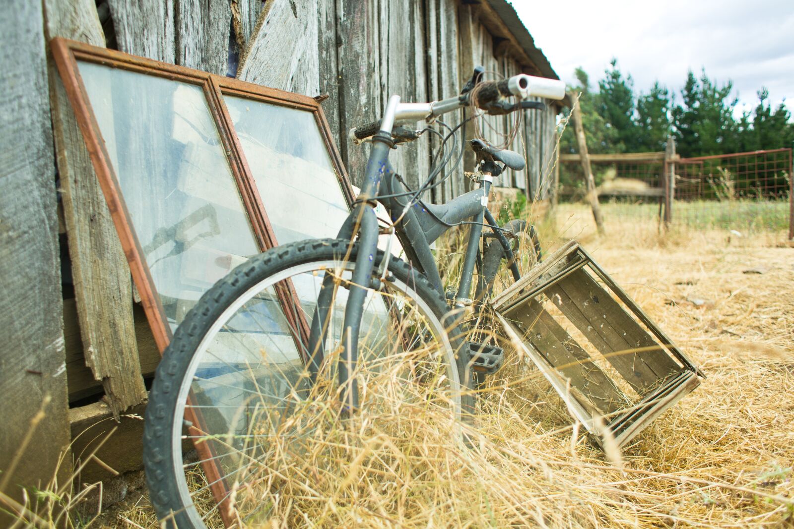 Canon EOS 5D Mark III + Canon EF 28mm F1.8 USM sample photo. Bike, bicycle, field photography