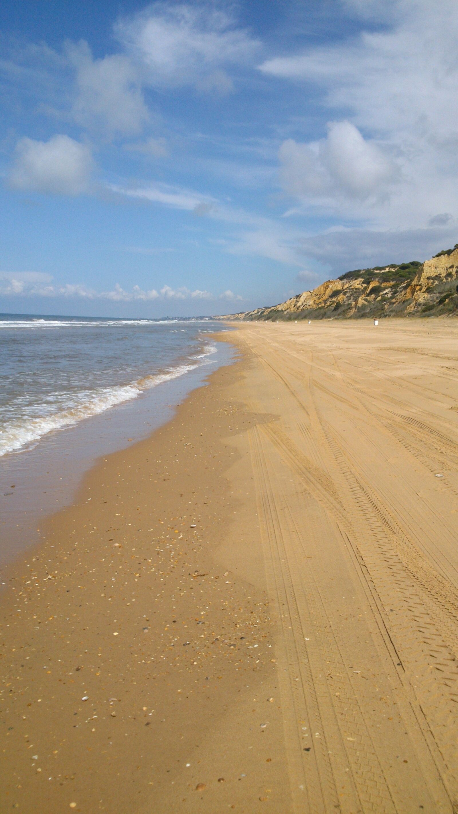 Sony Xperia P sample photo. Beach, doñana, sand photography