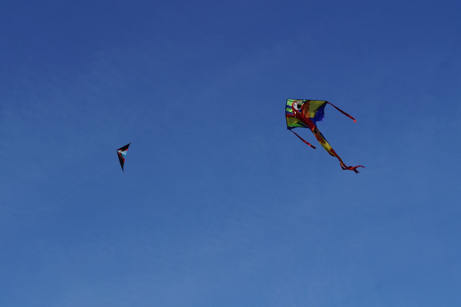 Sony SLT-A58 + Sony DT 50mm F1.8 SAM sample photo. Dragon, kite flying, kites photography