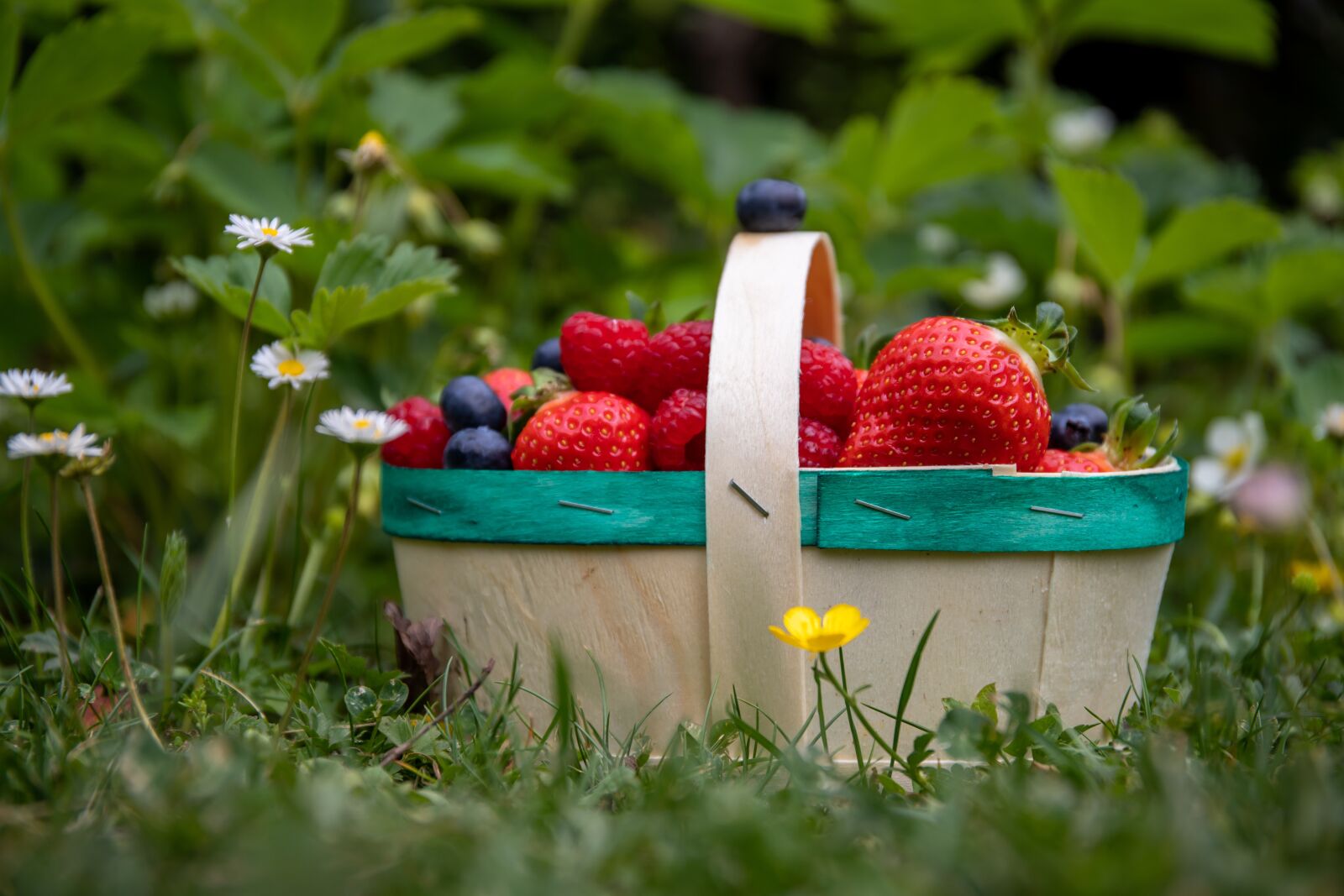 Canon EF 24-70mm F4L IS USM sample photo. Basket, strawberries, fruit photography