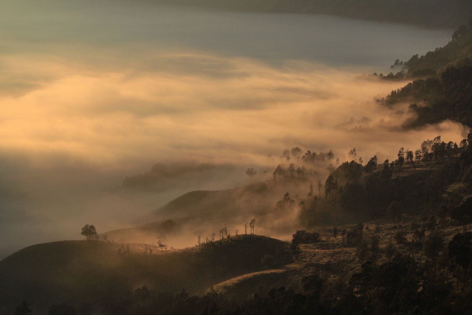 Canon EF-S 55-250mm F4-5.6 IS II sample photo. Morning, dawn, fog photography