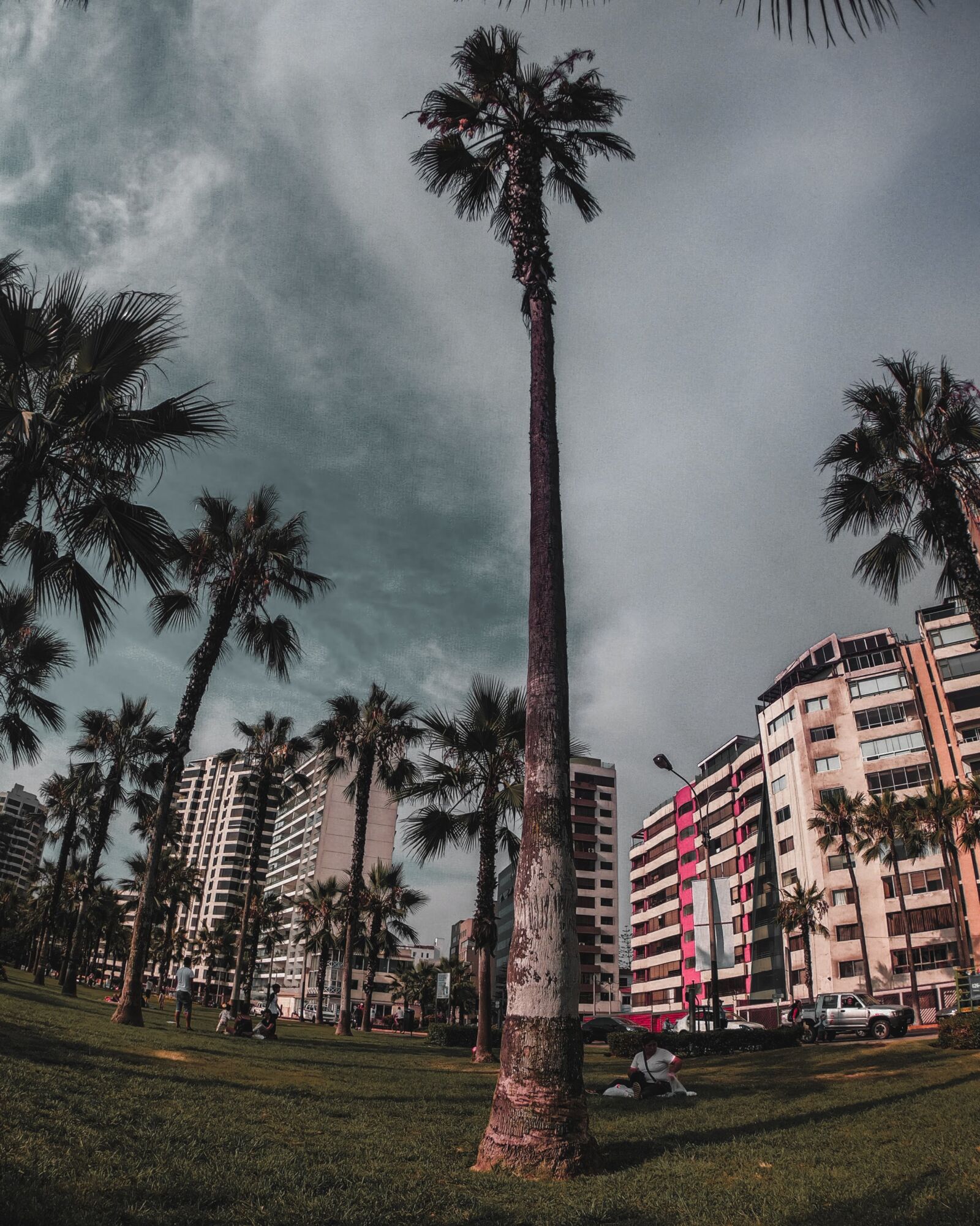 GoPro Hero7 Black sample photo. Natural, peace, happy photography