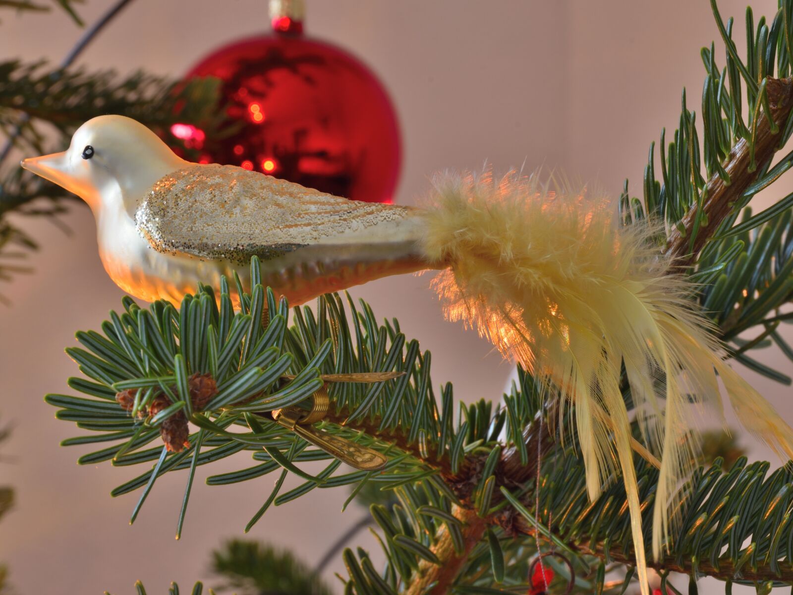 Nikon D5500 sample photo. Christmas ornaments, bird, fir photography