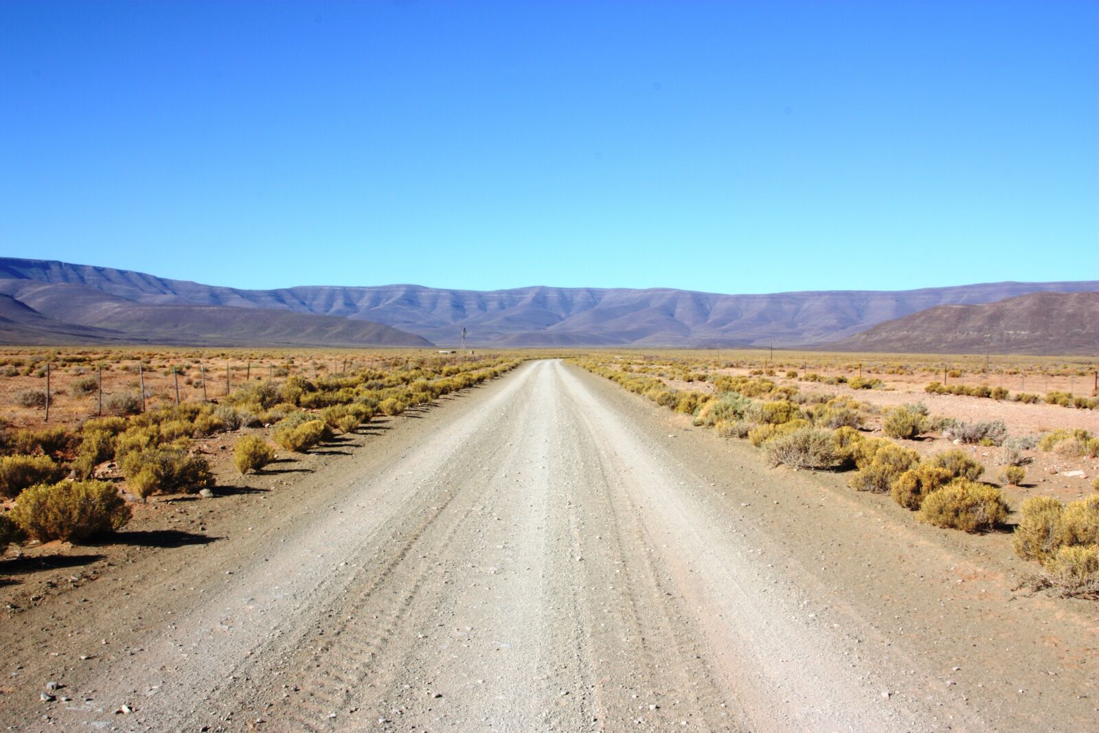 Canon EOS 450D (EOS Rebel XSi / EOS Kiss X2) sample photo. Karoo, gravel road, desert photography