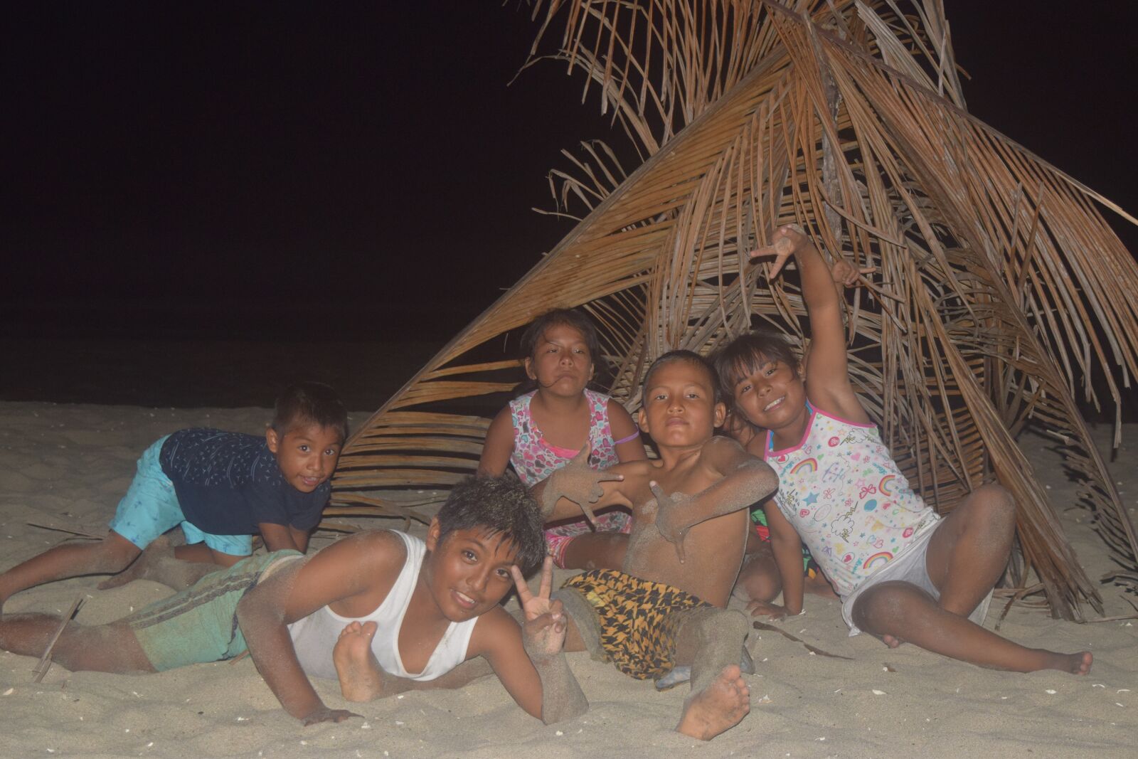 Nikon D3300 sample photo. Beach, palmeras, noche photography
