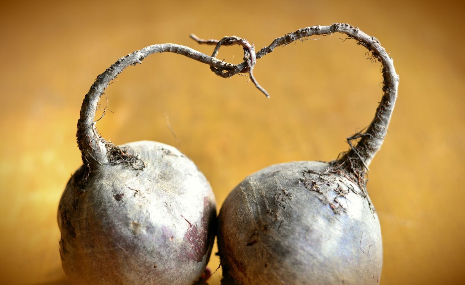 Nikon D610 sample photo. Beetroot, vegetables, root photography
