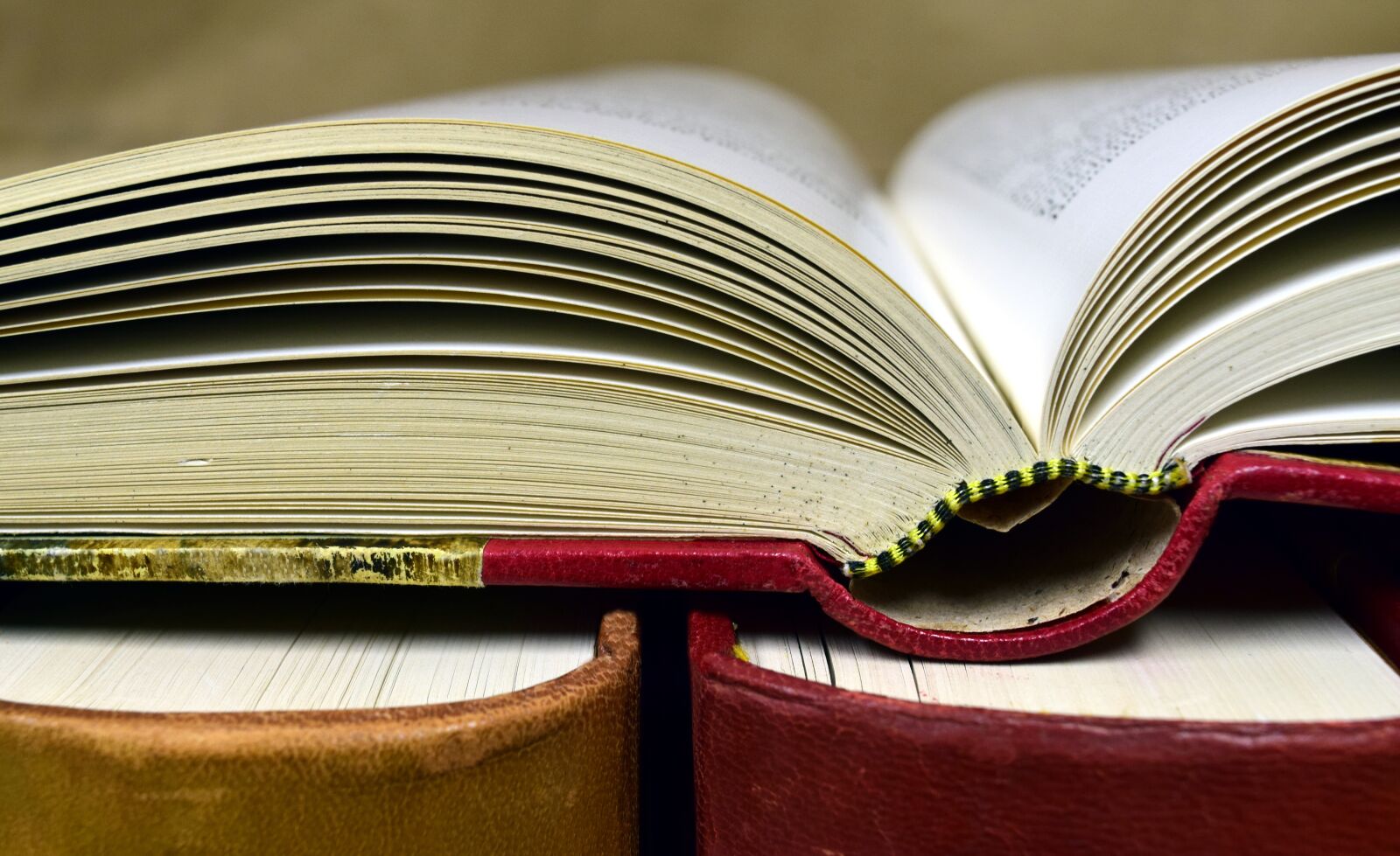 Nikon D3300 sample photo. Book, antiquariat, old books photography