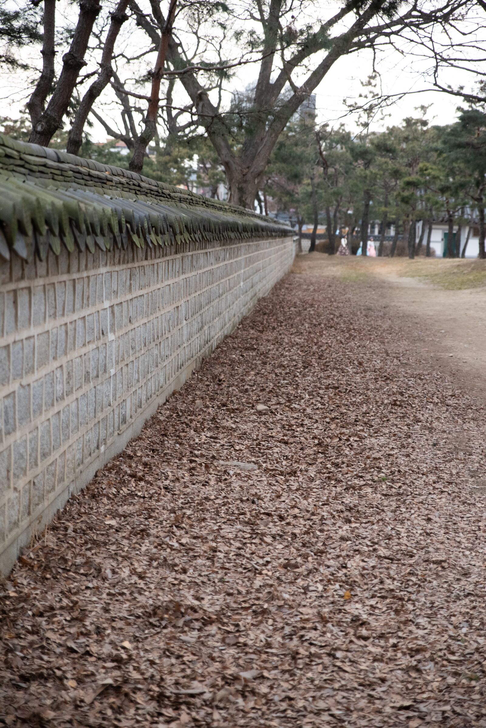 Tamron SP 24-70mm F2.8 Di VC USD sample photo. Republic of korea, roof photography