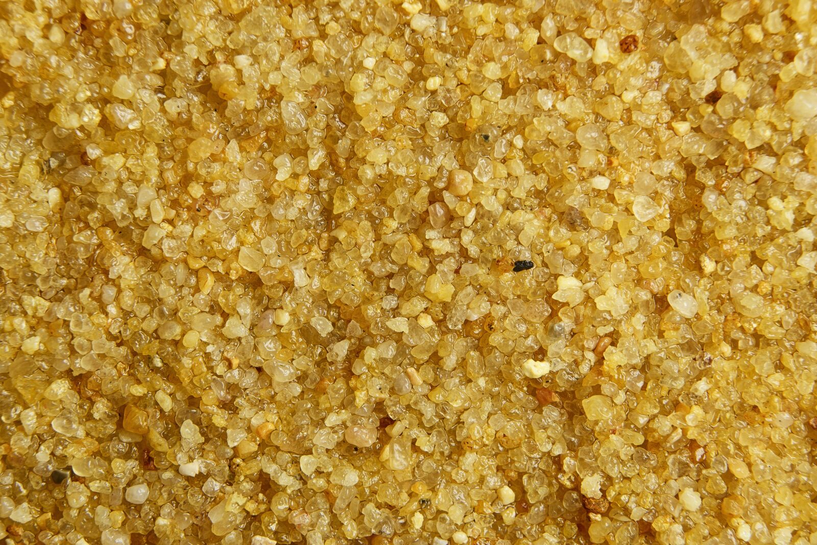 Nikon D800 sample photo. Sand, yellow, gravel photography