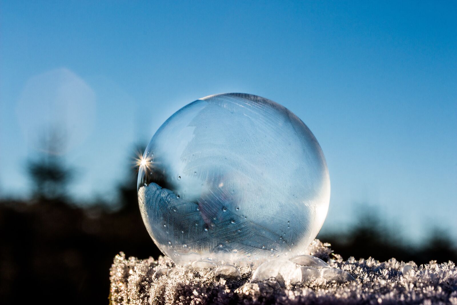 Canon EOS 650D (EOS Rebel T4i / EOS Kiss X6i) sample photo. Frozen bubble, soap bubble photography