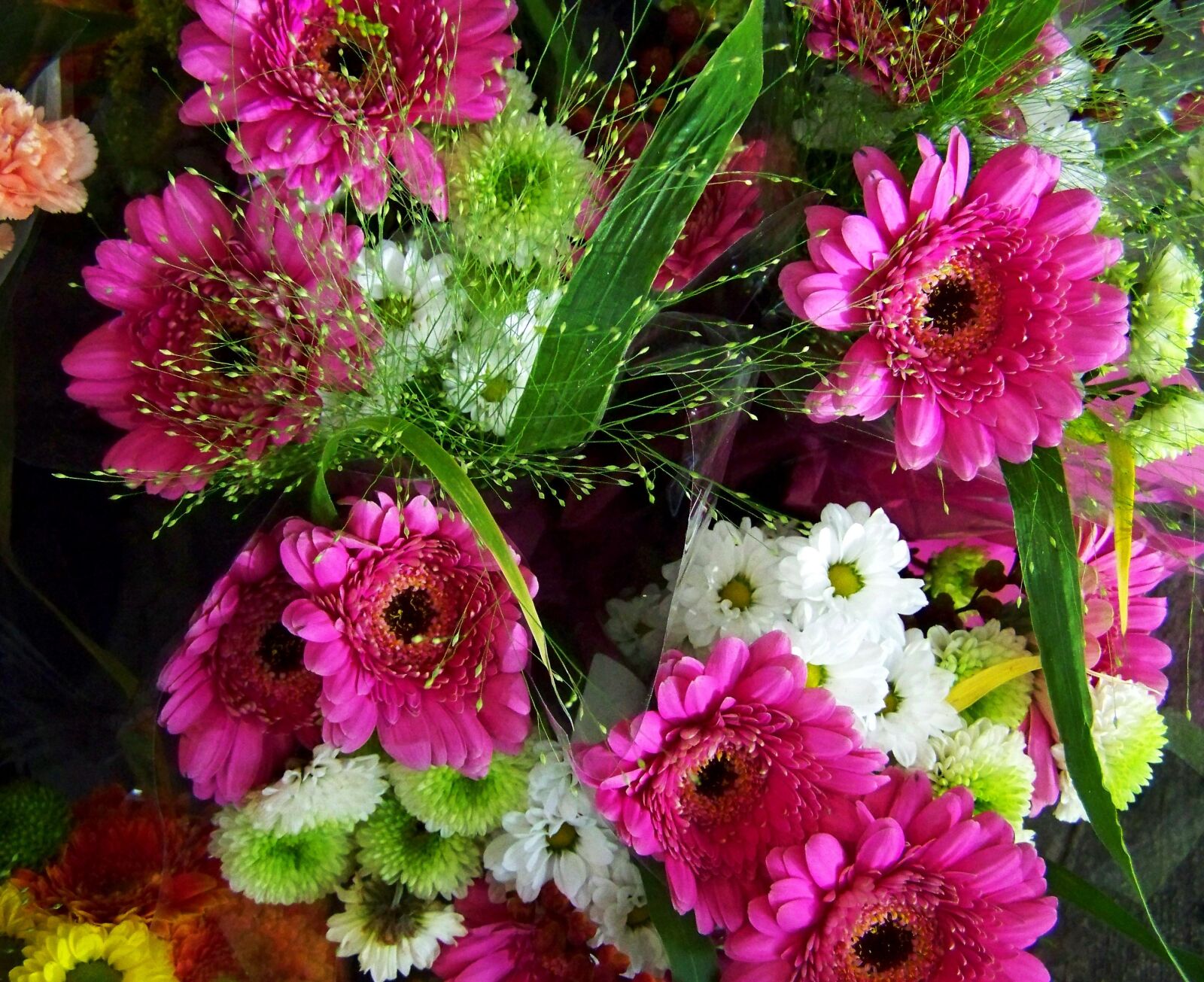 Kodak EASYSHARE ZD710 ZOOM DIGITAL CAMERA sample photo. Gerbera bouquet, pinkish-white, cut photography