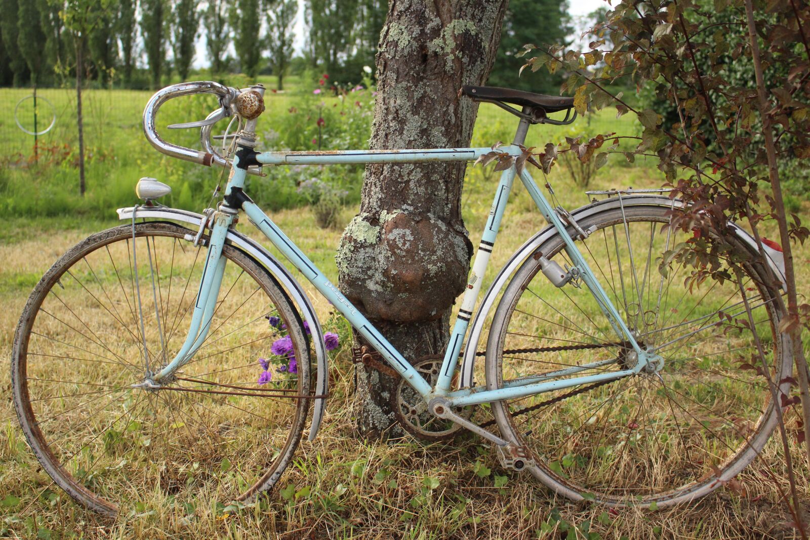 Canon EOS 100D (EOS Rebel SL1 / EOS Kiss X7) sample photo. Bike, sky blue, freedom photography