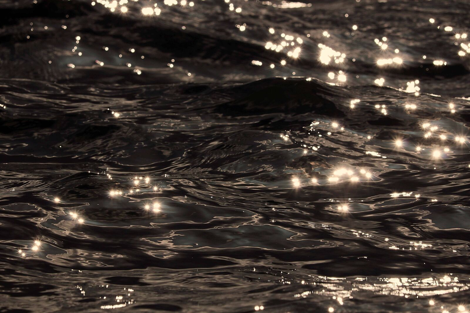 Canon EOS 80D sample photo. Reflection, monochrome, sepia, wave photography