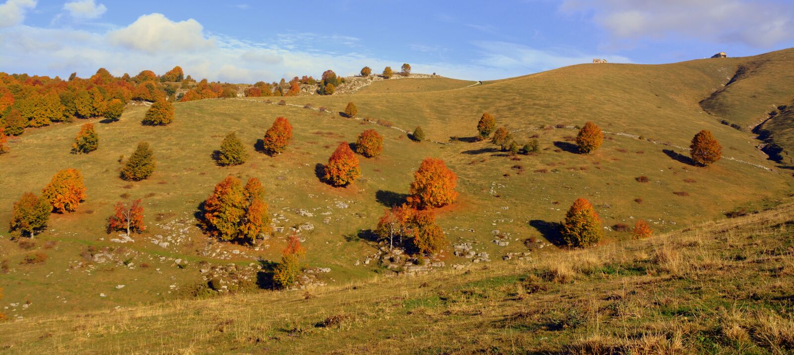 Nikon D7100 sample photo. Excursion, trees, autumn photography