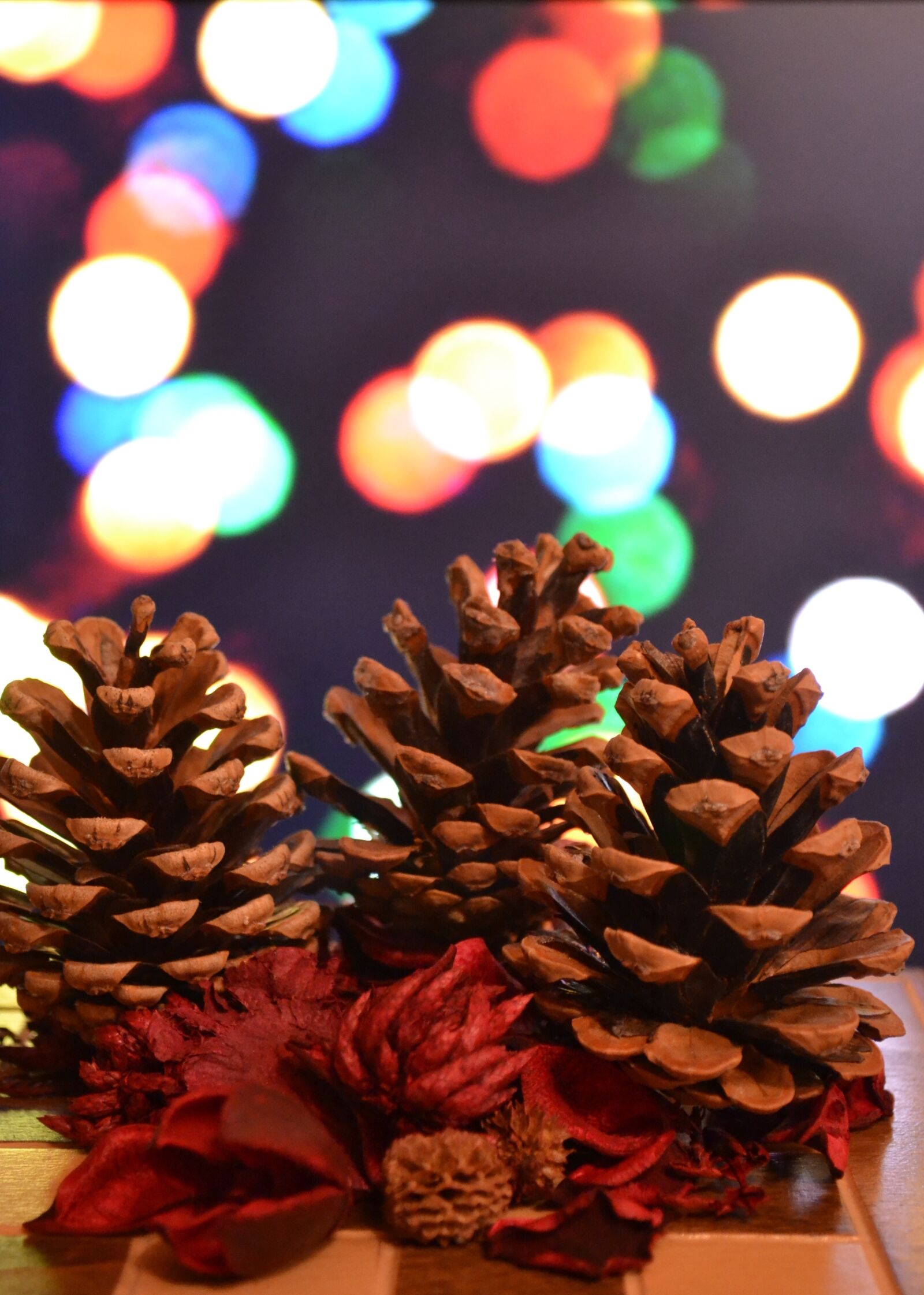 Nikon D3100 sample photo. Christmas, lights, ornaments photography