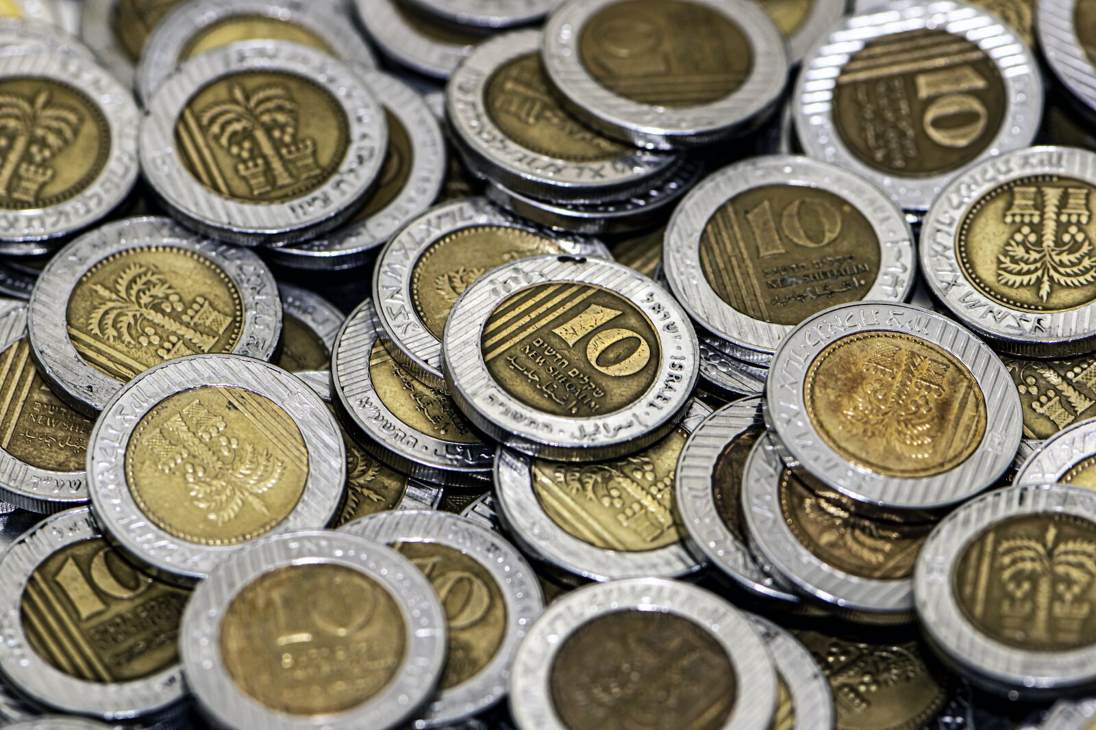 Nikon D5600 sample photo. Money, israeli shekels, shekel photography