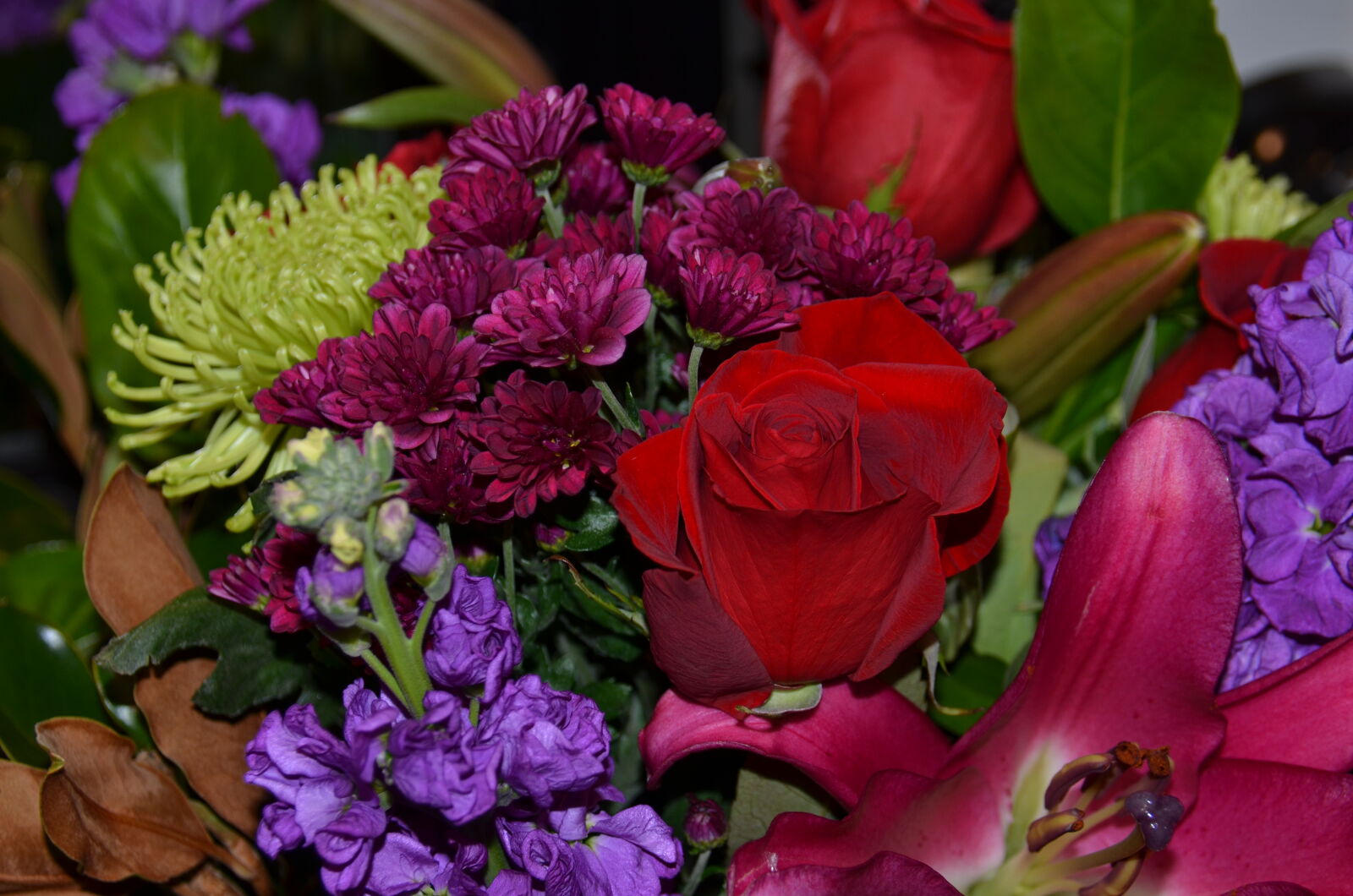Nikon AF-S DX Nikkor 18-300mm F3.5-5.6G ED VR sample photo. Beautiful, bouquet, flowers, red photography